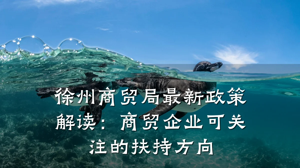 徐州商贸局最新政策解读:商贸企业可关注的扶持方向