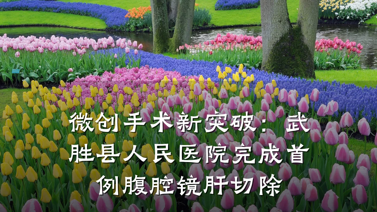 微创手术新突破:武胜县人民医院完成首例腹腔镜肝切除