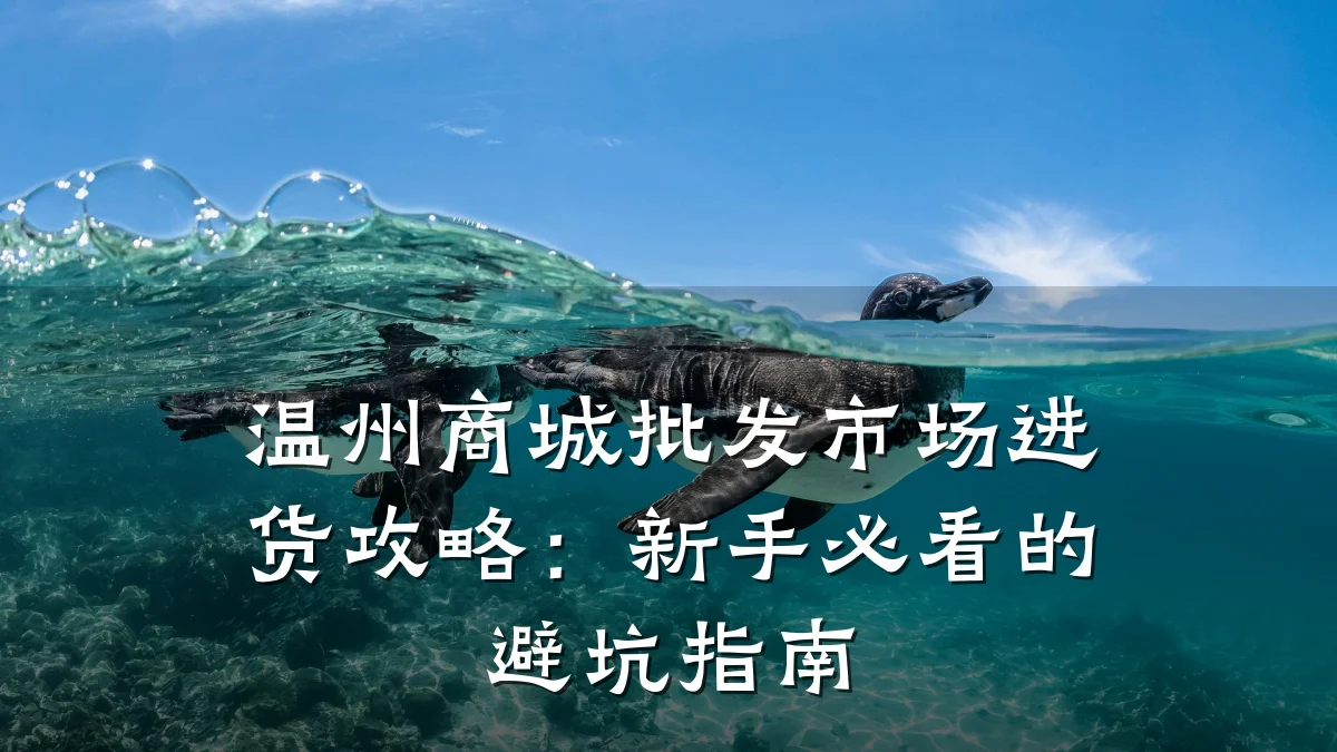 温州商城批发市场进货攻略：新手必看的避坑指南