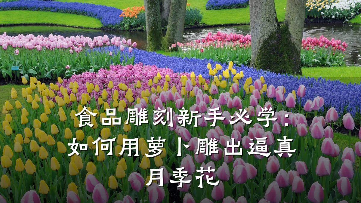 食品雕刻新手必学：如何用萝卜雕出逼真月季花