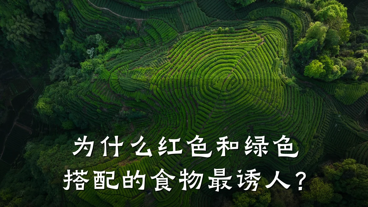 为什么红色和绿色搭配的食物最诱人？