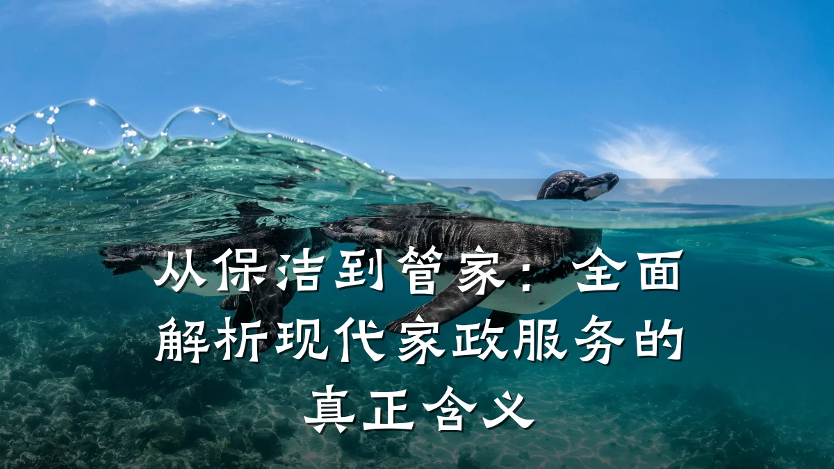 从保洁到管家:全面解析现代家政服务的真正含义