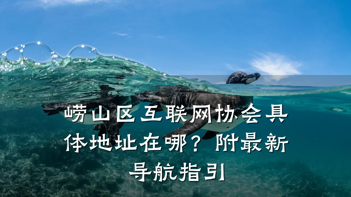 崂山区互联网协会具体地址在哪?附最新导航指引