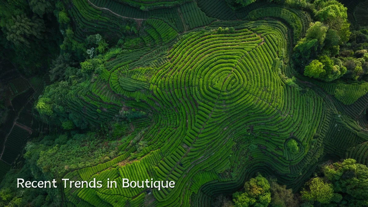 Recent Trends in Boutique