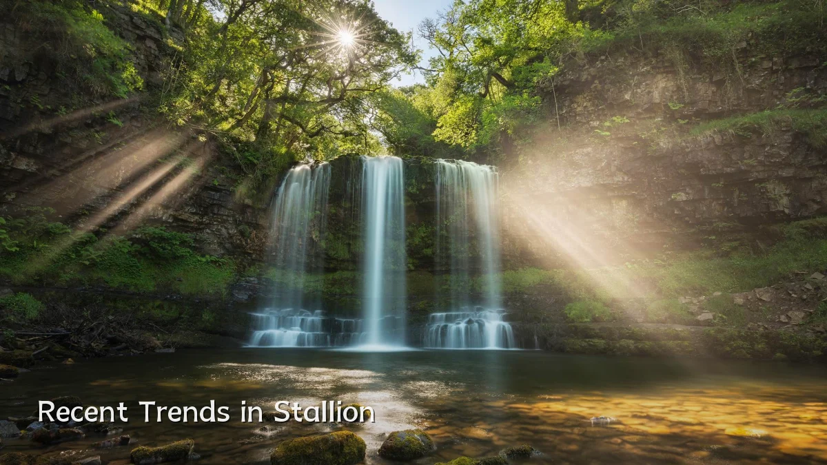 Recent Trends in Stallion