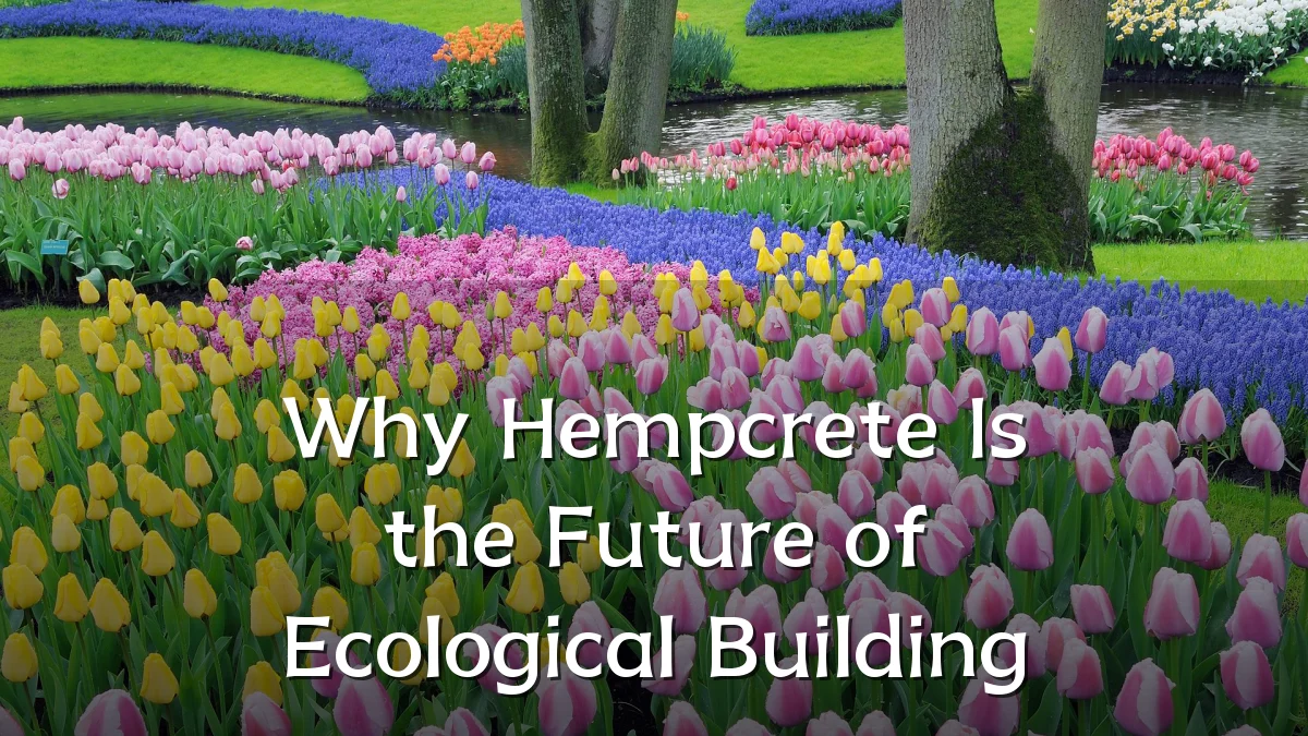 Why Hempcrete Is the Future of Ecological Building