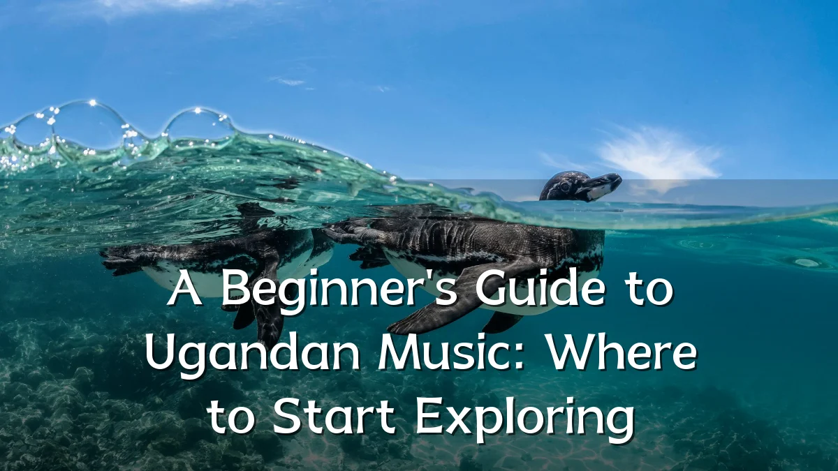 A Beginner's Guide to Ugandan Music: Where to Start Exploring