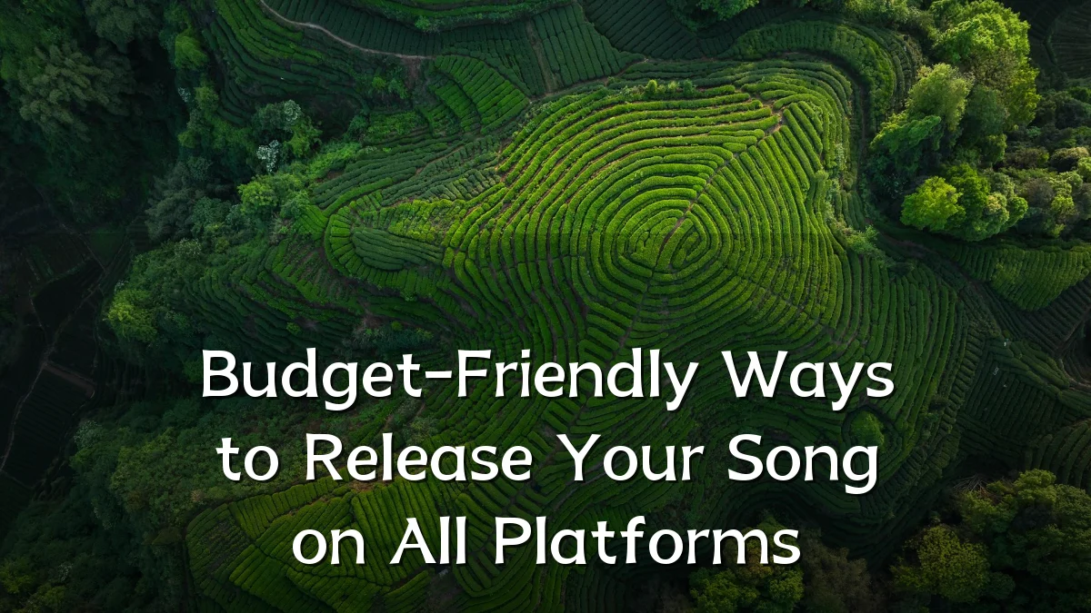 Budget-Friendly Ways to Release Your Song on All Platforms