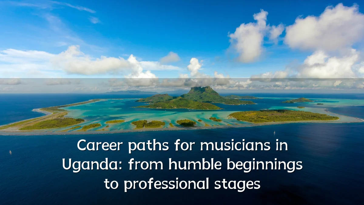 Career paths for musicians in Uganda: from humble beginnings to professional stages