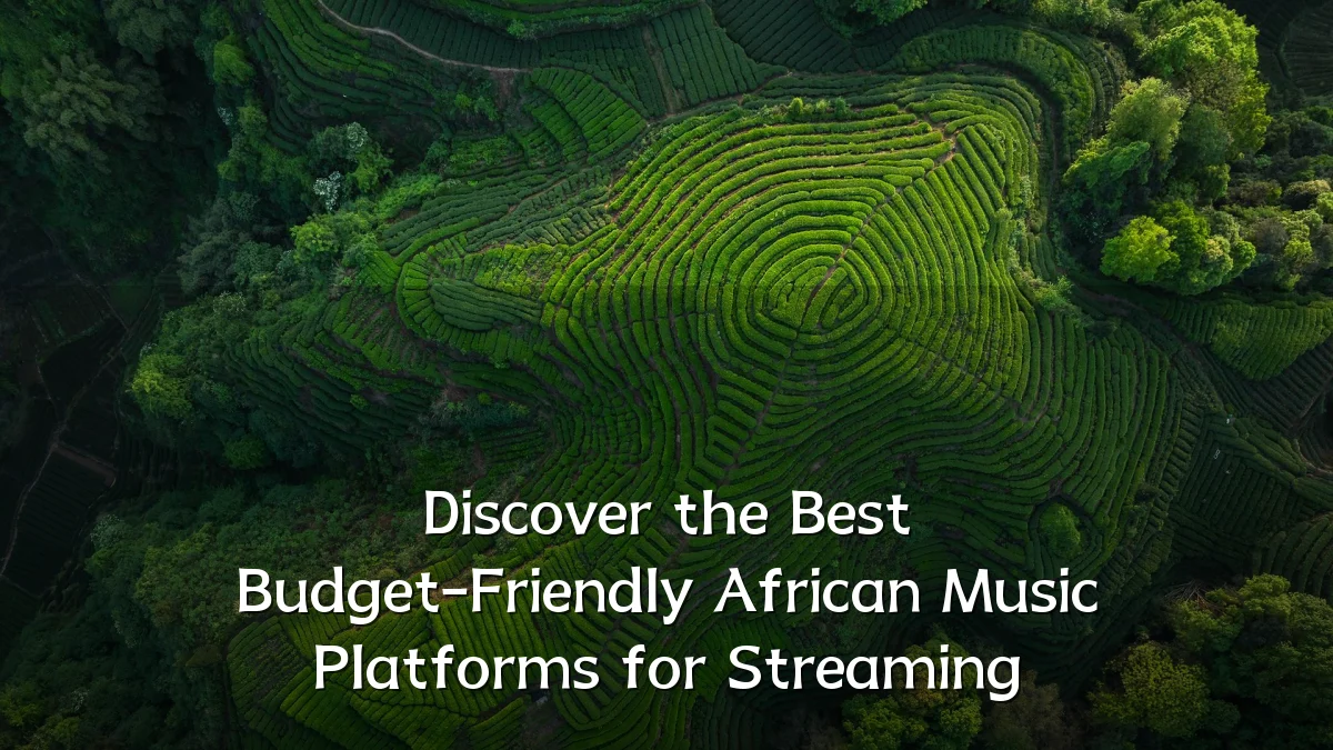 Discover the Best Budget-Friendly African Music Platforms for Streaming