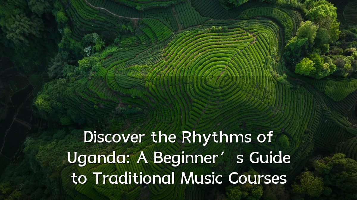 Discover the Rhythms of Uganda: A Beginner’s Guide to Traditional Music Courses
