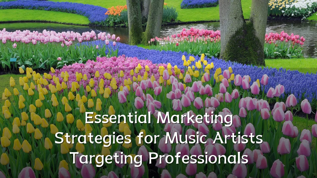 Essential Marketing Strategies for Music Artists Targeting Professionals