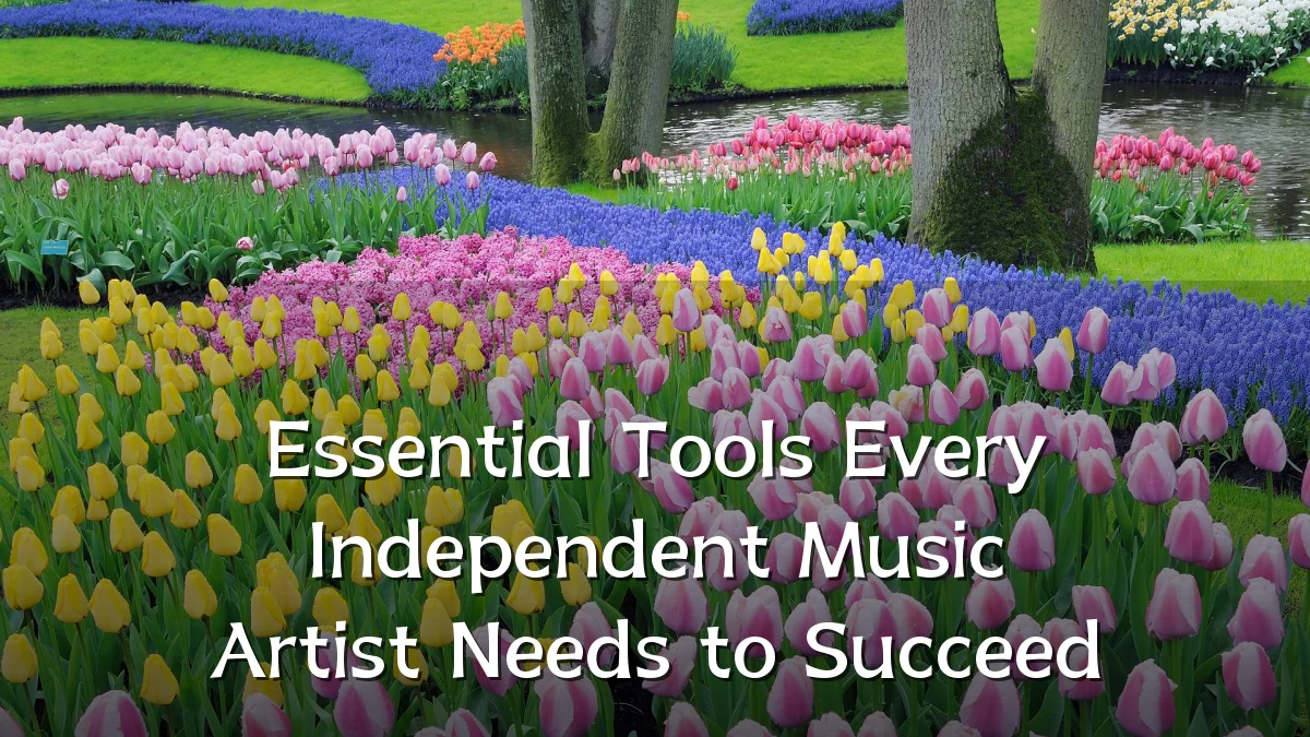 Essential Tools Every Independent Music Artist Needs to Succeed