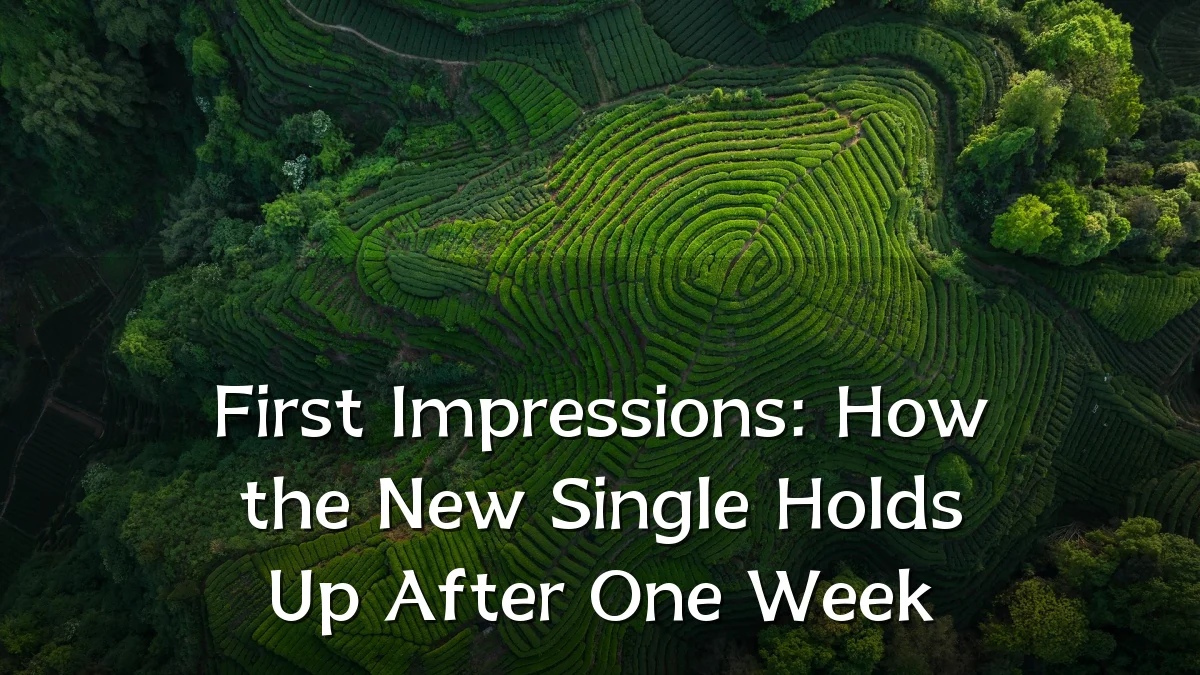 First Impressions: How the New Single Holds Up After One Week