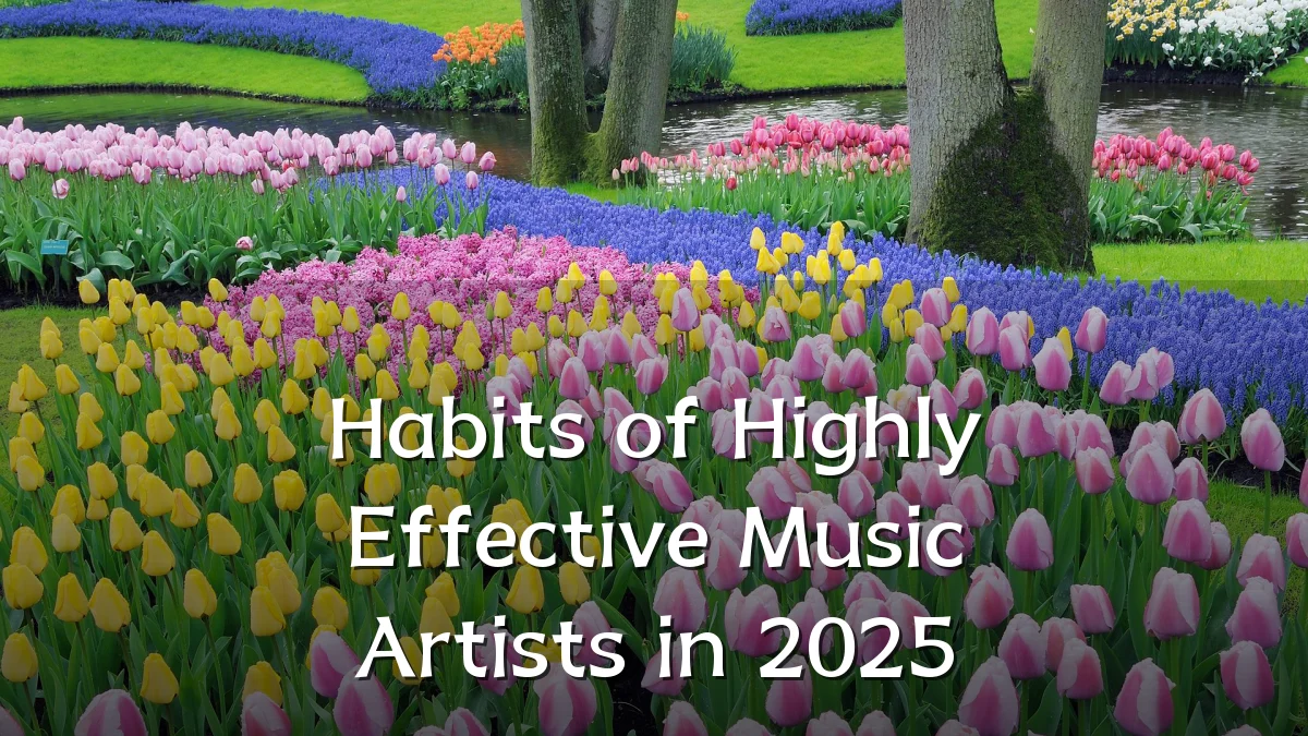 Habits of Highly Effective Music Artists in 2025