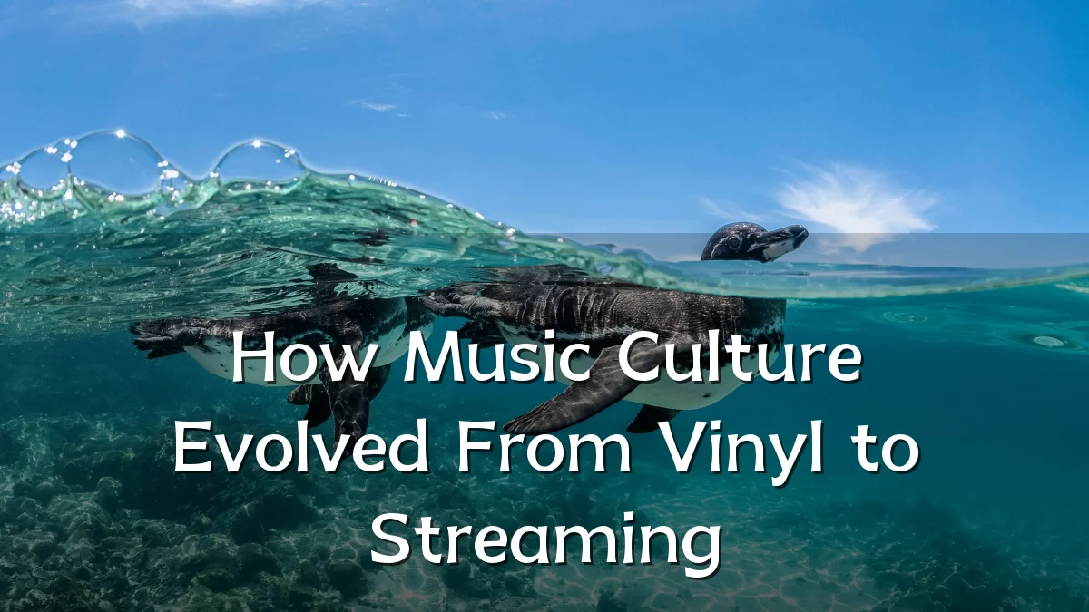 How Music Culture Evolved From Vinyl to Streaming