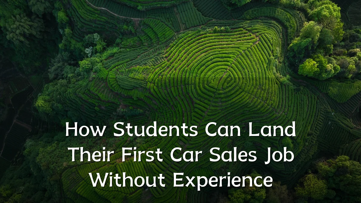 How Students Can Land Their First Car Sales Job Without Experience