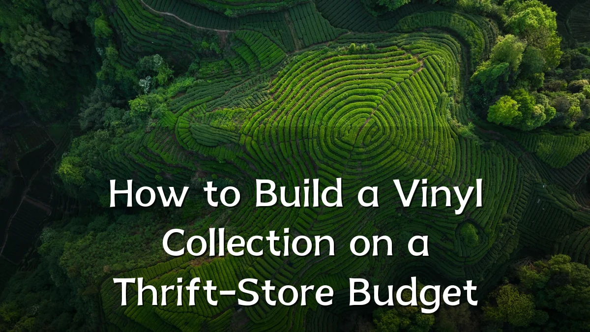 How to Build a Vinyl Collection on a Thrift-Store Budget