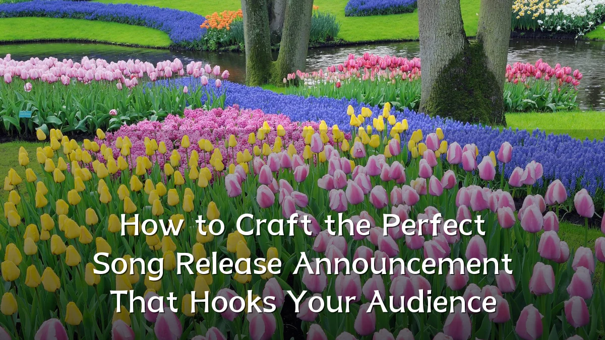 How to Craft the Perfect Song Release Announcement That Hooks Your Audience