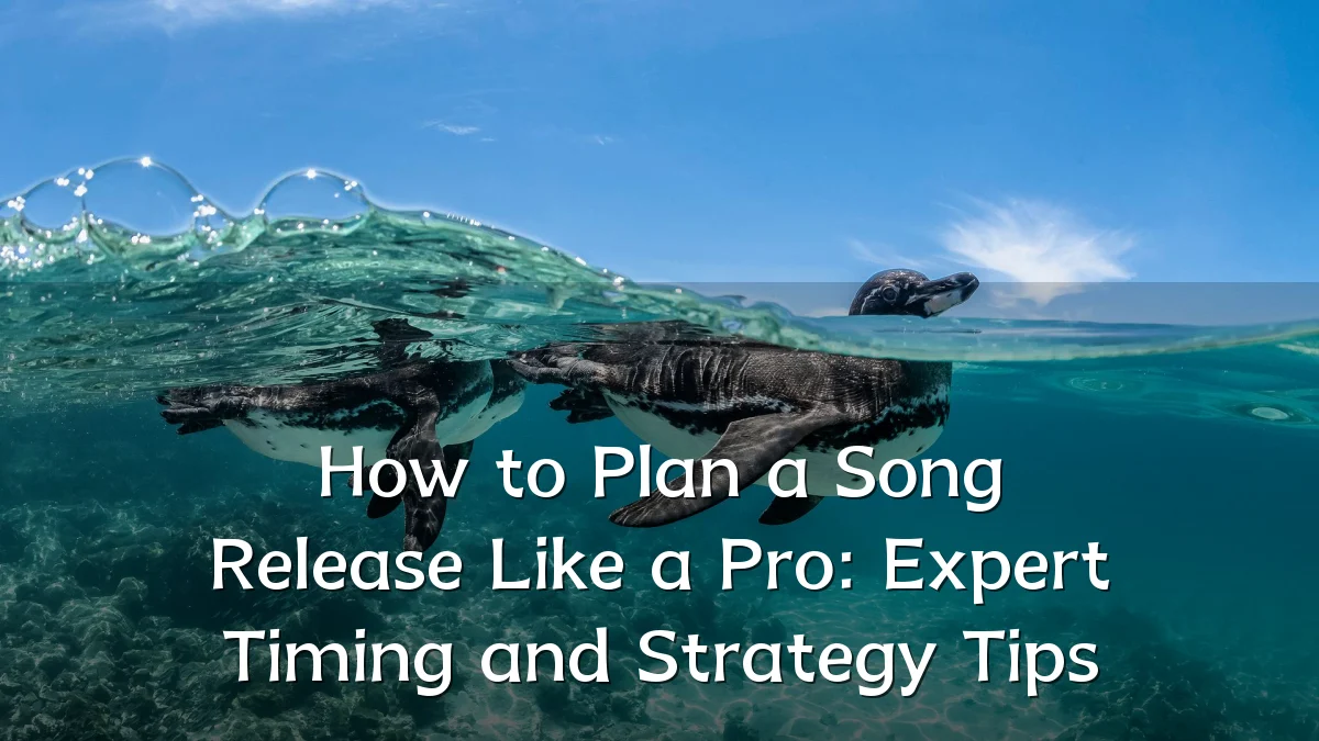 How to Plan a Song Release Like a Pro: Expert Timing and Strategy Tips