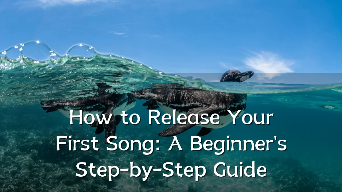 How to Release Your First Song: A Beginner's Step-by-Step Guide