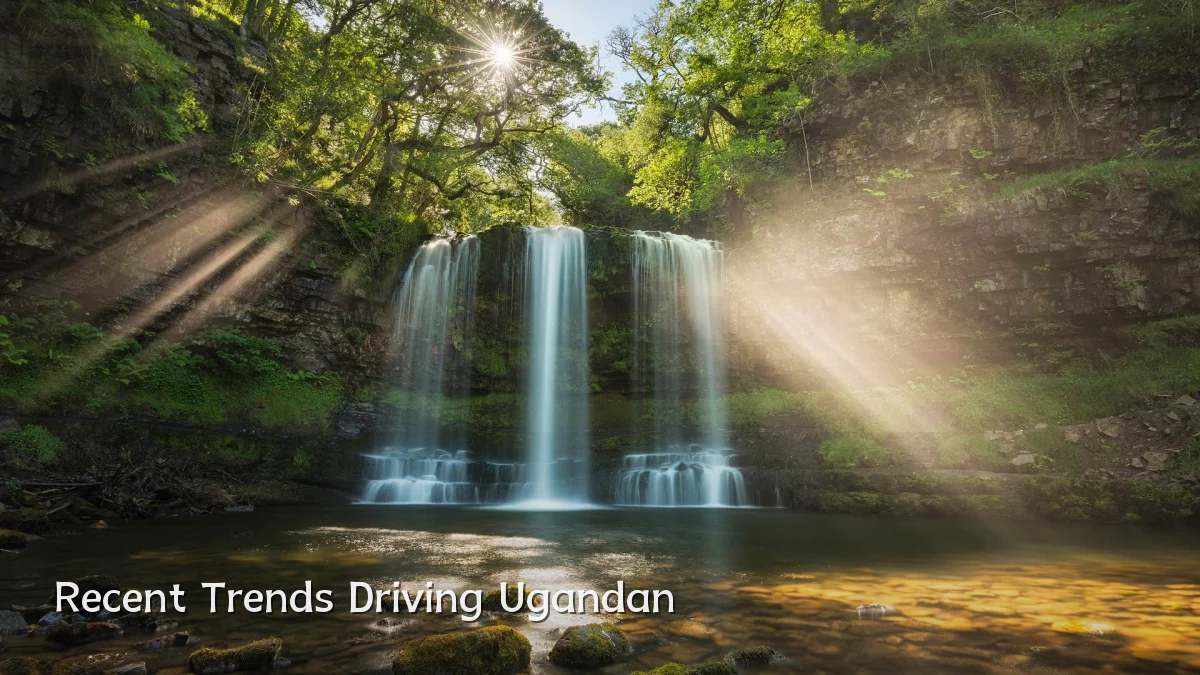 Recent Trends Driving Ugandan