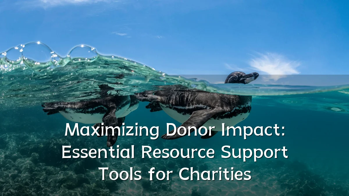 Maximizing Donor Impact: Essential Resource Support Tools for Charities