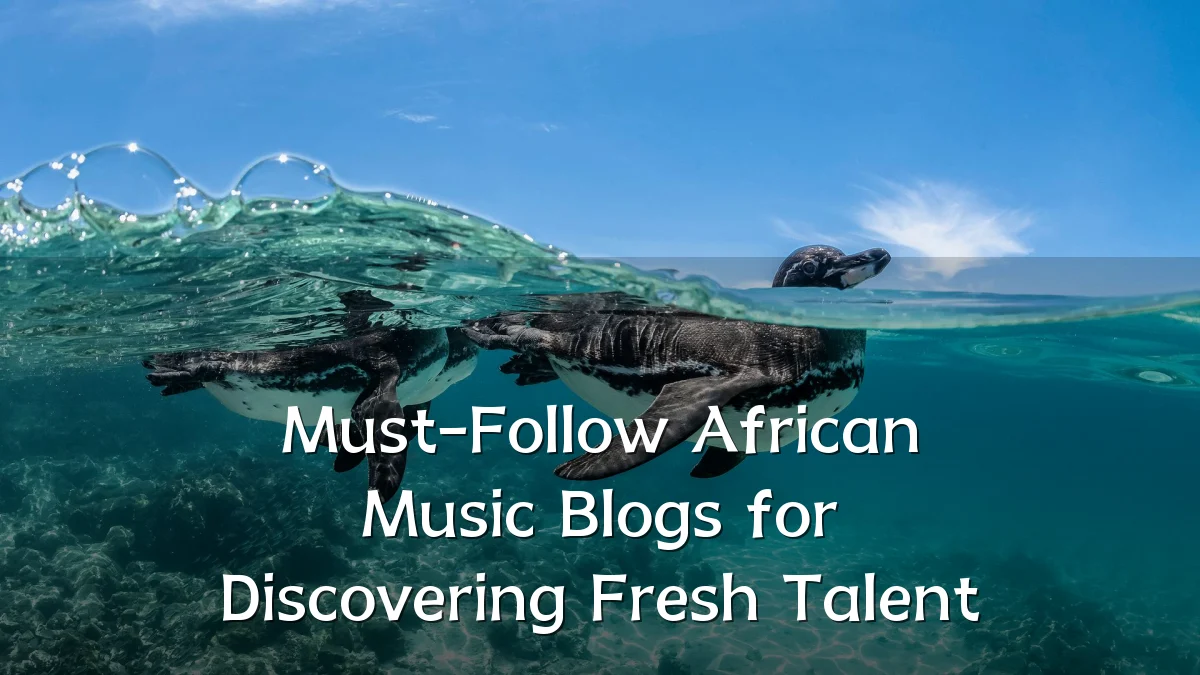 Must-Follow African Music Blogs for Discovering Fresh Talent