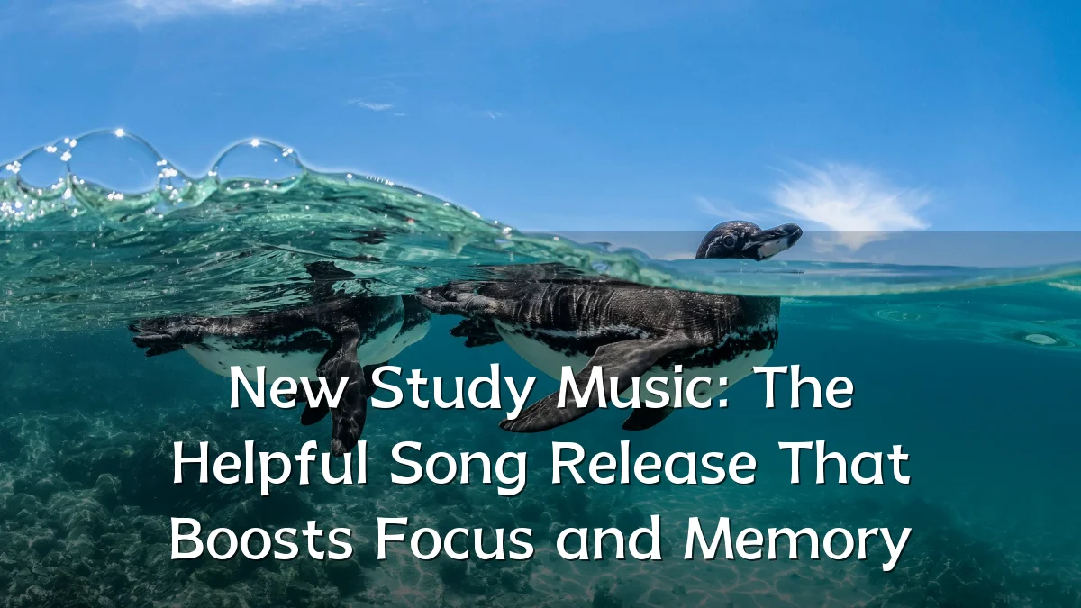 New Study Music: The Helpful Song Release That Boosts Focus and Memory