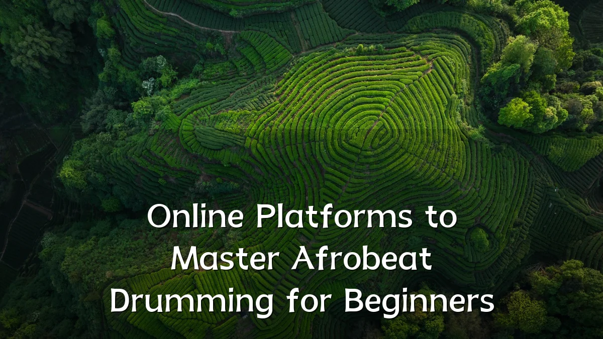 Online Platforms to Master Afrobeat Drumming for Beginners
