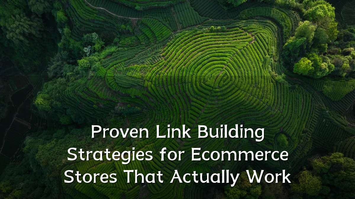 Proven Link Building Strategies for Ecommerce Stores That Actually Work
