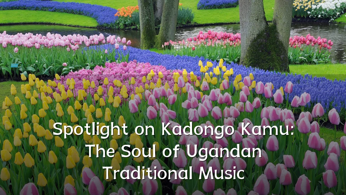 Spotlight on Kadongo Kamu: The Soul of Ugandan Traditional Music