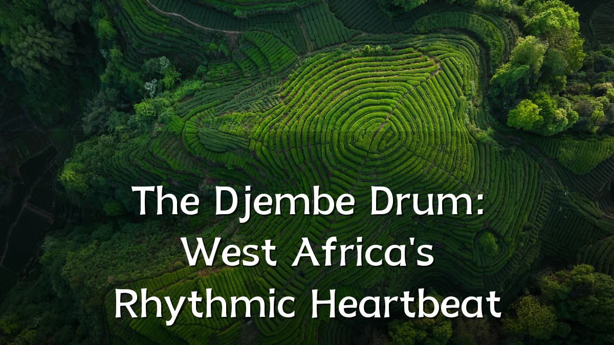 The Djembe Drum: West Africa's Rhythmic Heartbeat