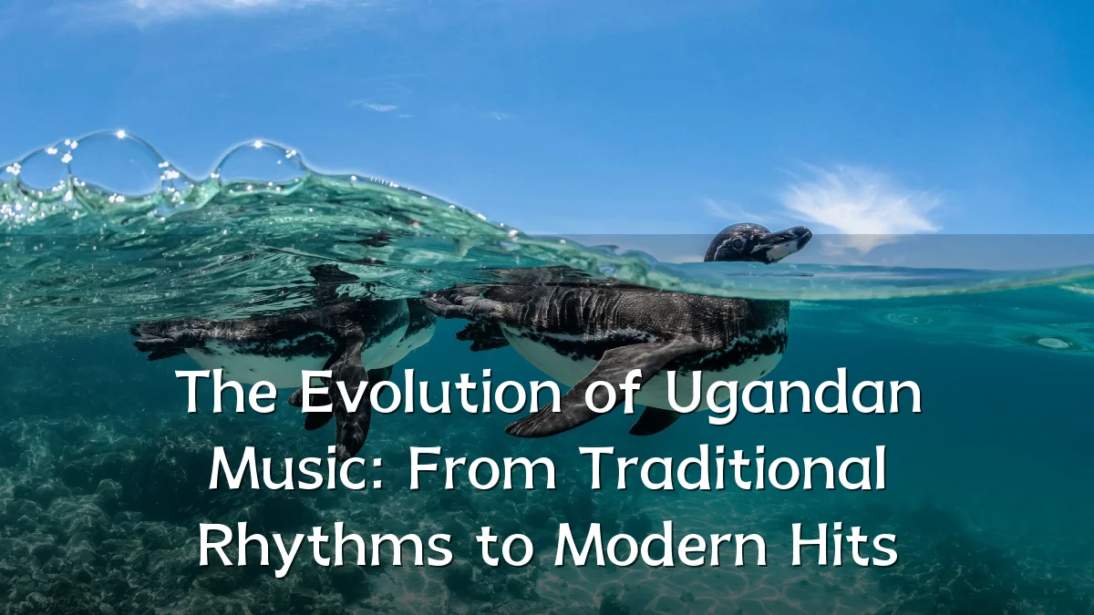 The Evolution of Ugandan Music: From Traditional Rhythms to Modern Hits