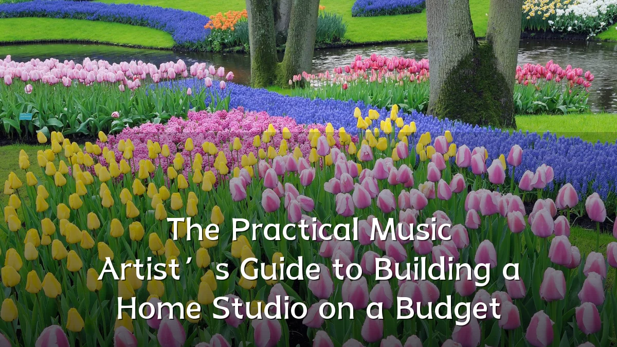 The Practical Music Artist’s Guide to Building a Home Studio on a Budget