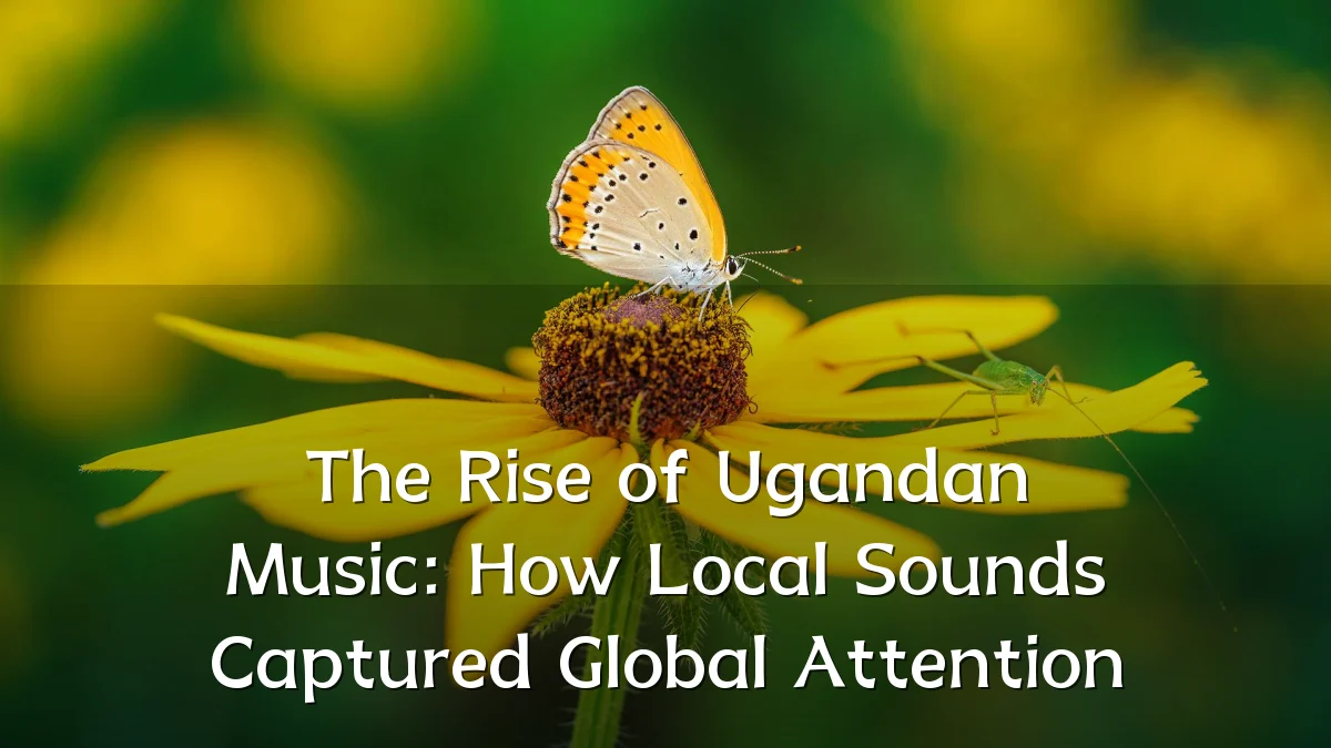 The Rise of Ugandan Music: How Local Sounds Captured Global Attention