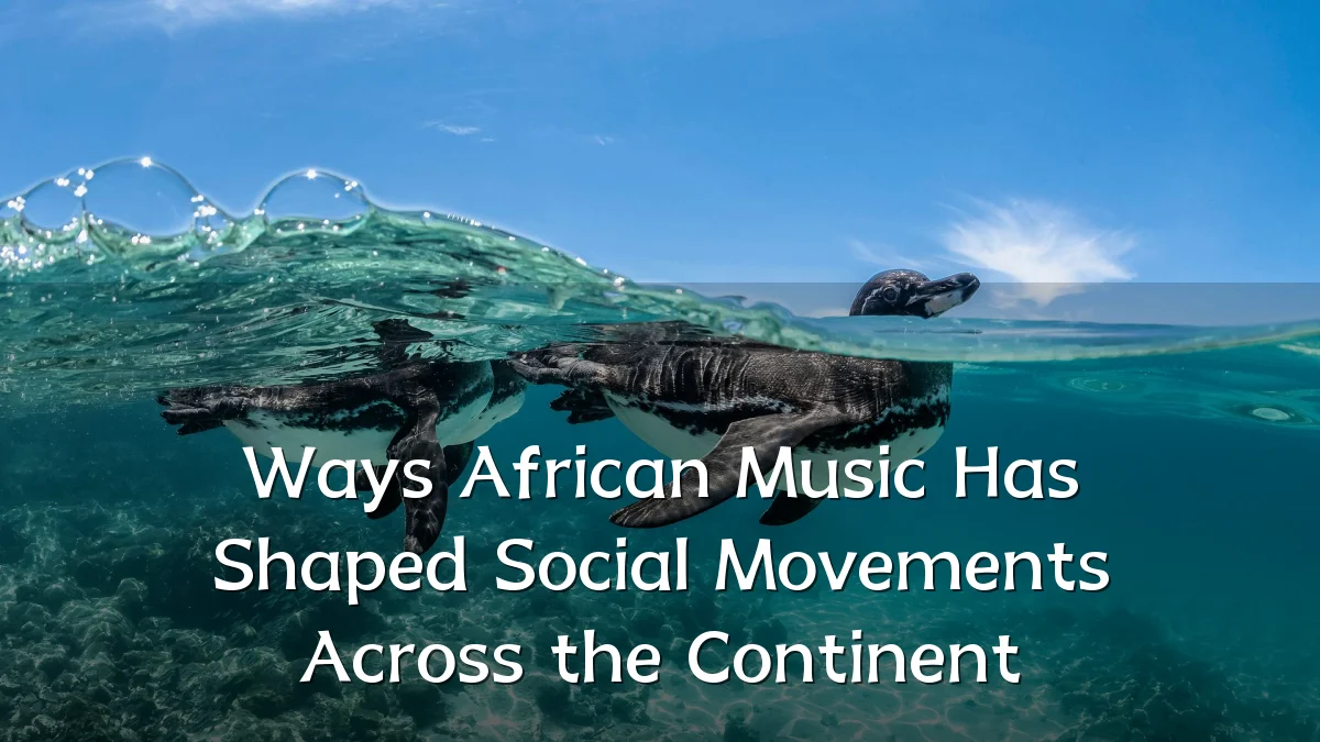 Ways African Music Has Shaped Social Movements Across the Continent