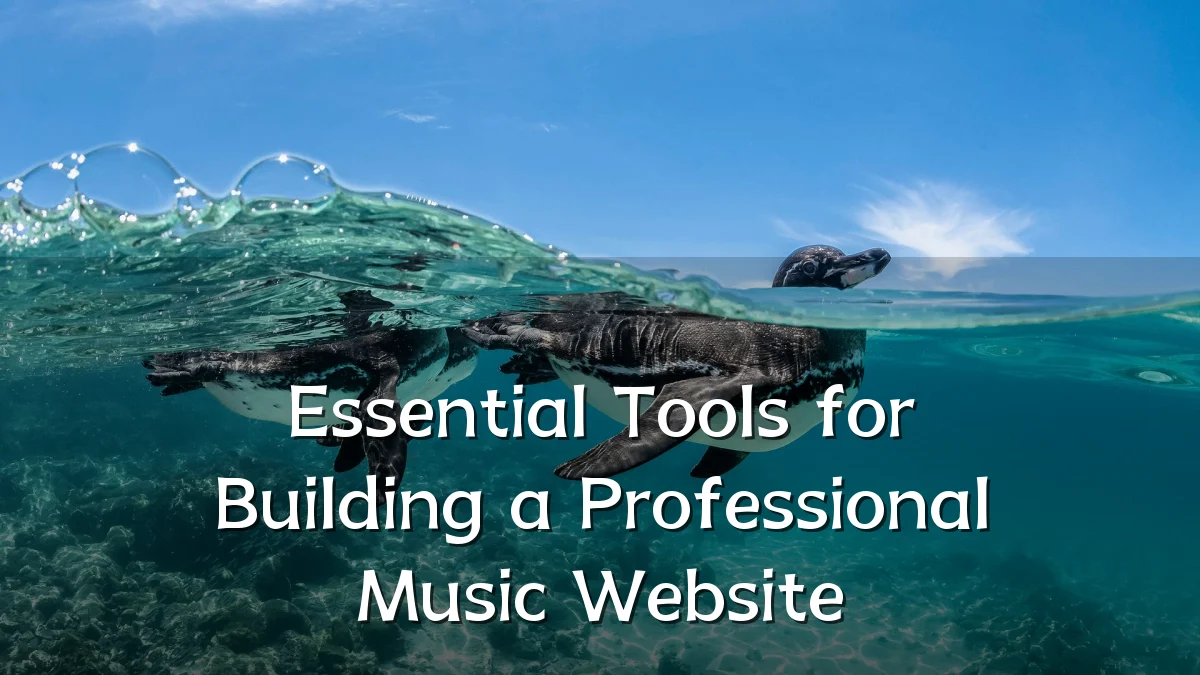 Essential Tools for Building a Professional Music Website