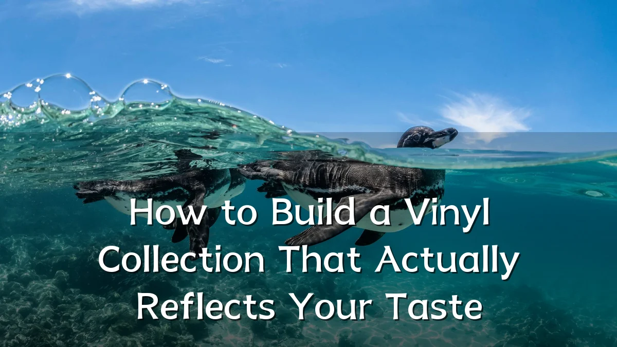How to Build a Vinyl Collection That Actually Reflects Your Taste