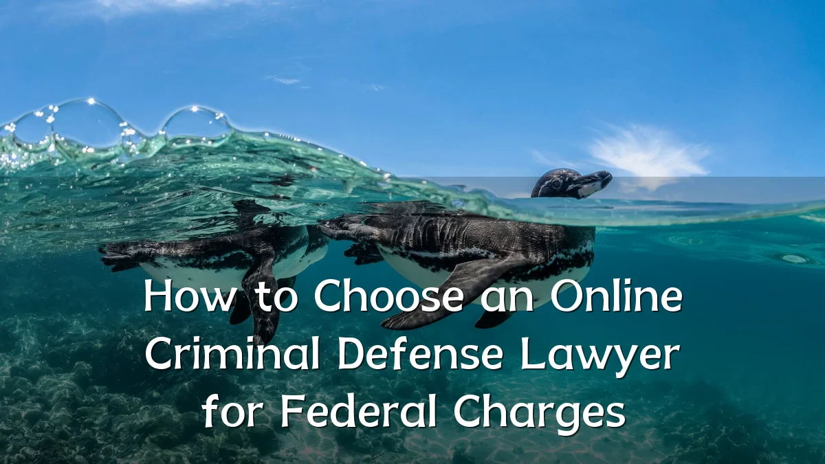 How to Choose an Online Criminal Defense Lawyer for Federal Charges