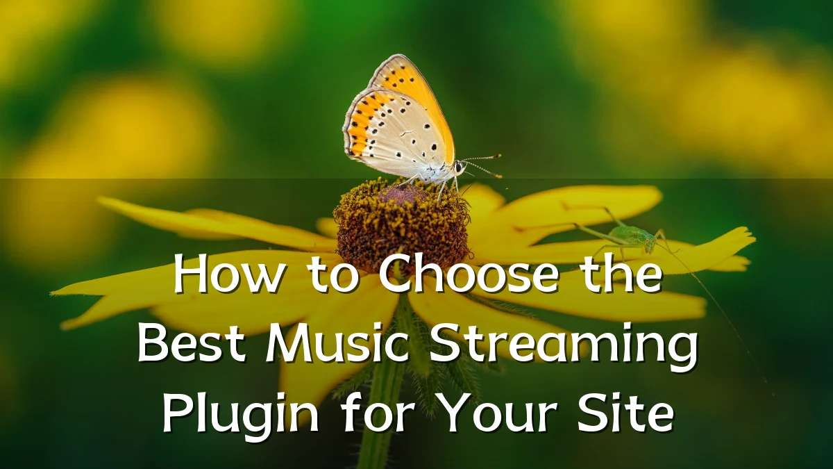 How to Choose the Best Music Streaming Plugin for Your Site