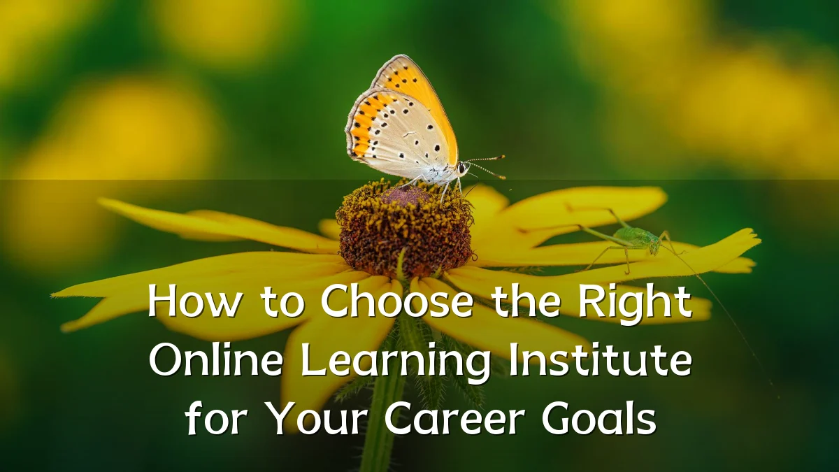 How to Choose the Right Online Learning Institute for Your Career Goals
