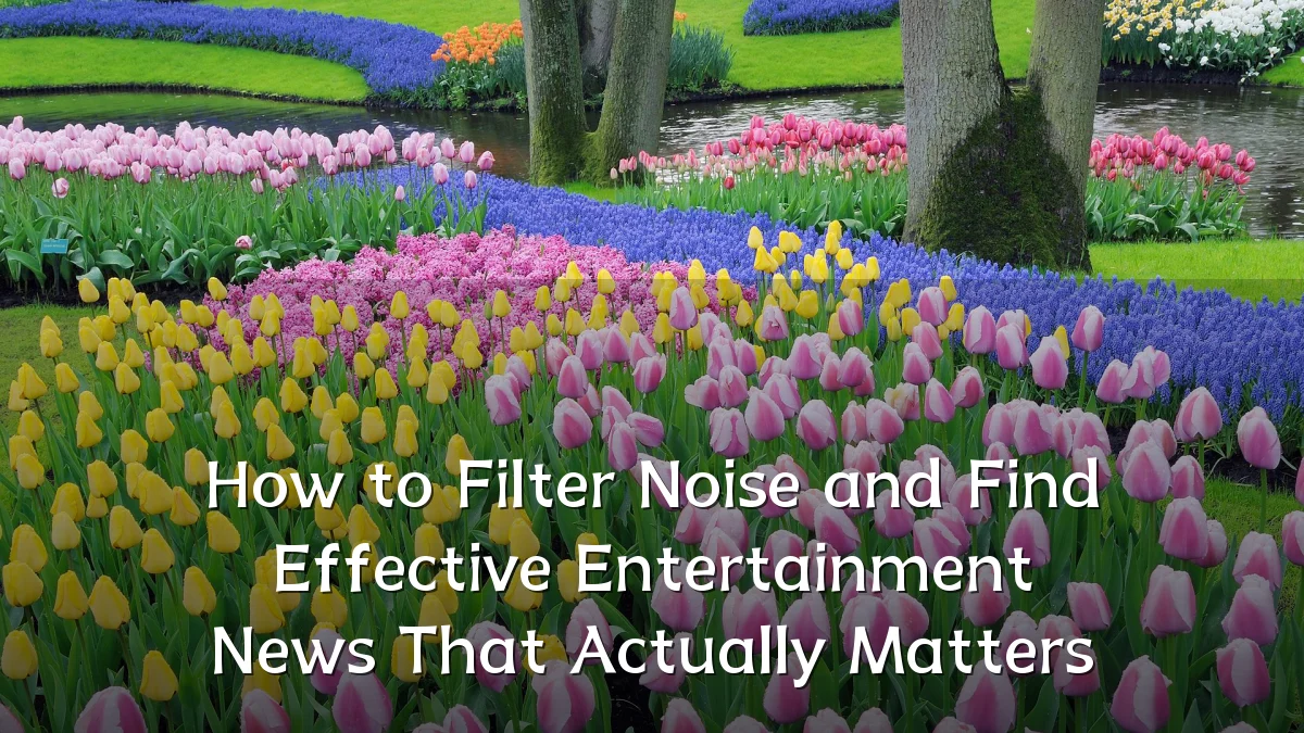 How to Filter Noise and Find Effective Entertainment News That Actually Matters