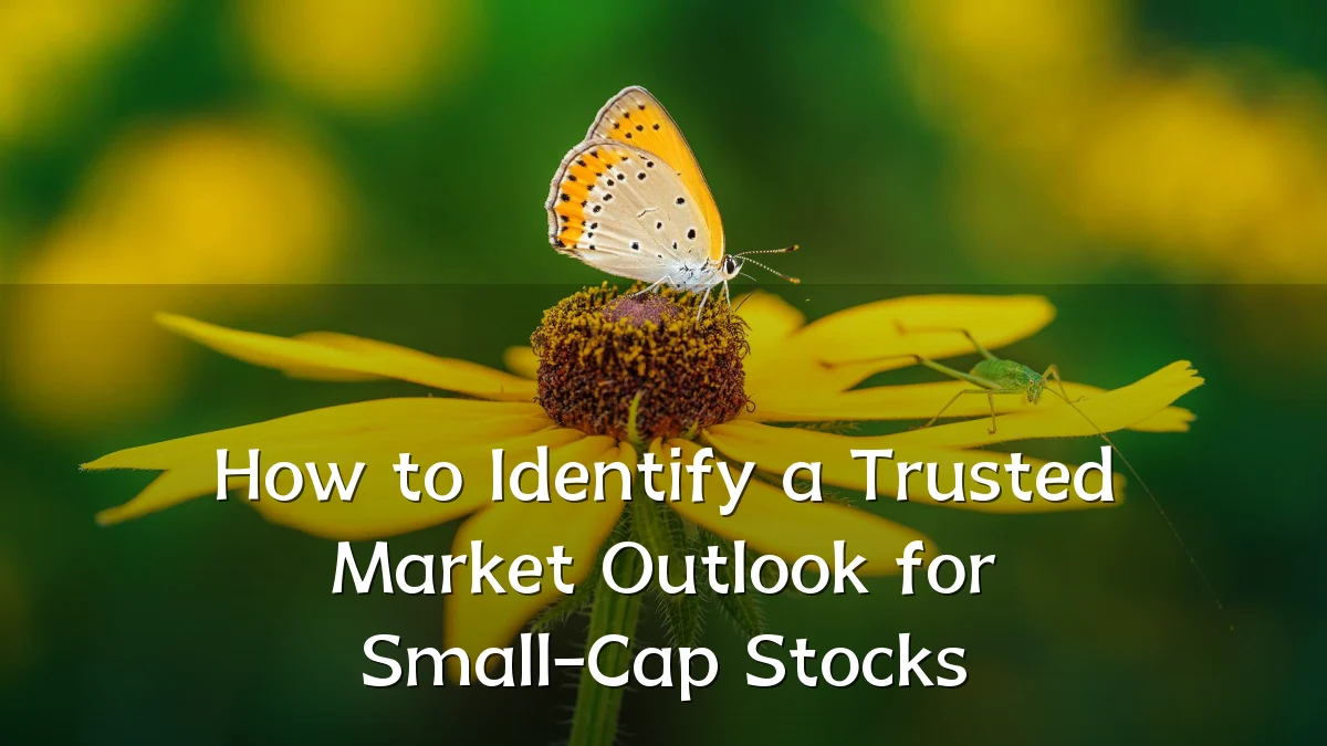 How to Identify a Trusted Market Outlook for Small-Cap Stocks