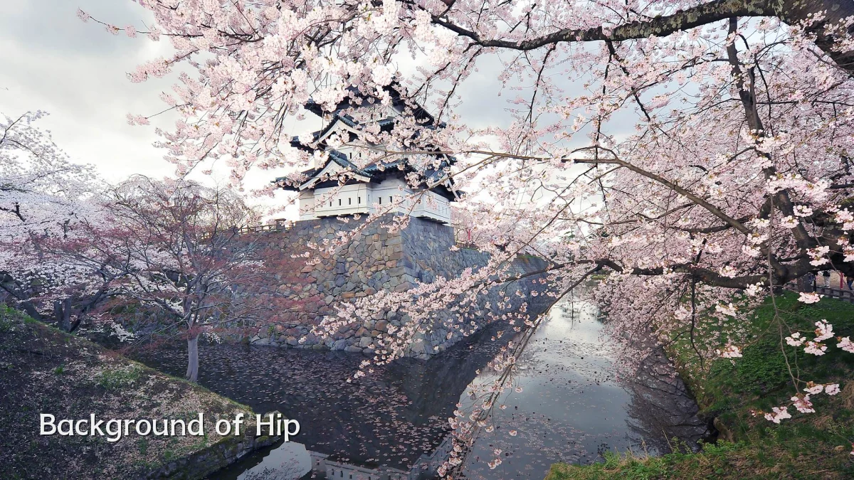 Background of Hip