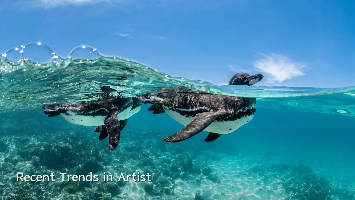 Recent Trends in Artist