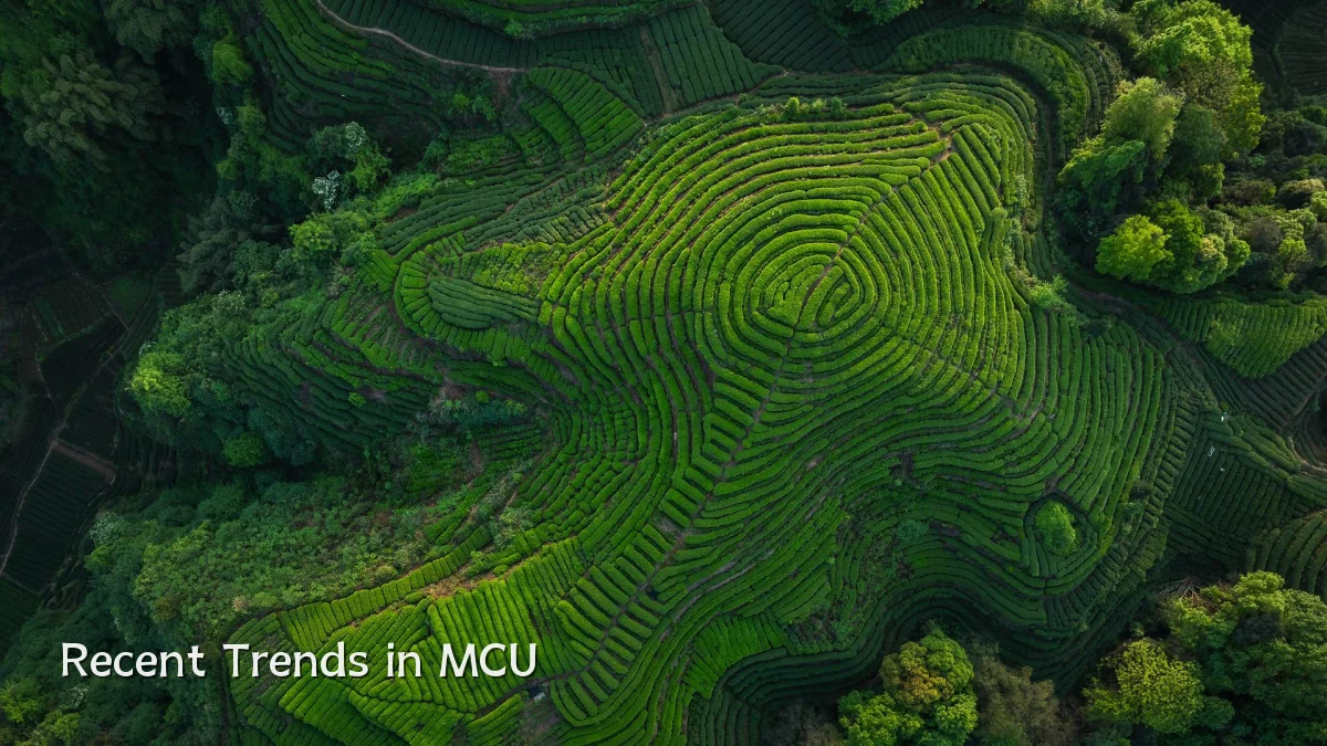 Recent Trends in MCU