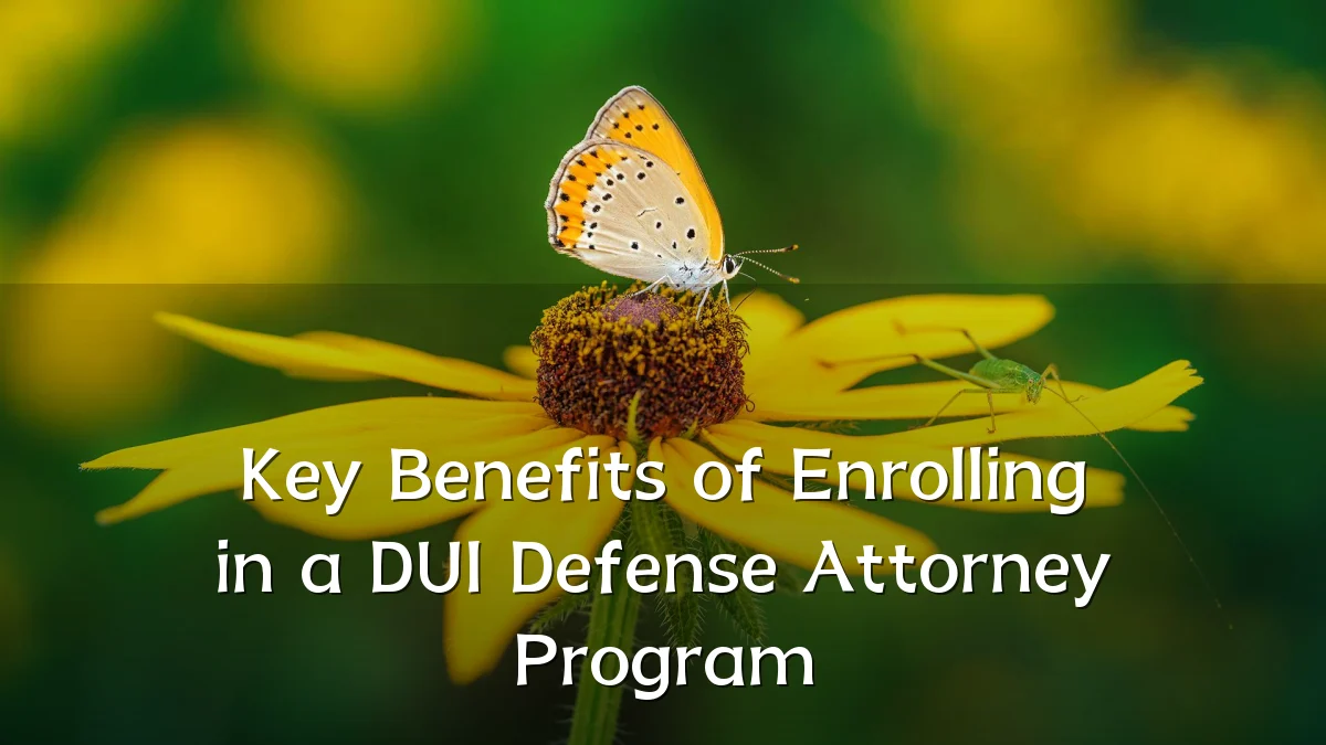 Key Benefits of Enrolling in a DUI Defense Attorney Program