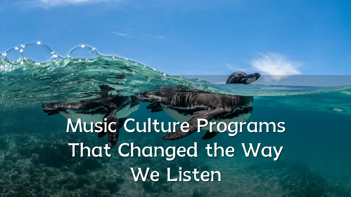 Music Culture Programs That Changed the Way We Listen