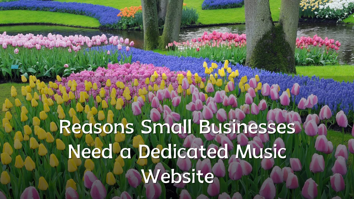 Reasons Small Businesses Need a Dedicated Music Website